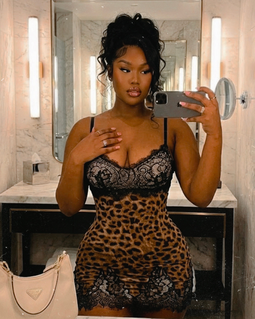 Leopard Lace Mini Dress - Summer Chic