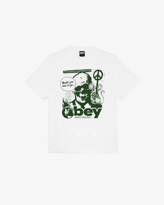 DONT WASTE IT HEAVYWEIGHT T-SHIRT - Four Street