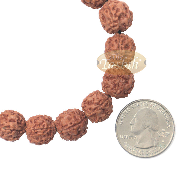Natural Bracelet Jenitri Rudraksha Seed 16 mm with 16 Beads On Black Elastic Cord Unisex