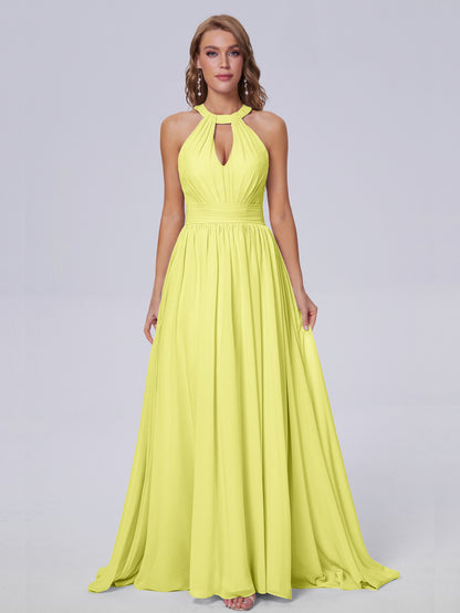 Nicole Vintage Halter Chiffon Long Bridesmaid Dresses