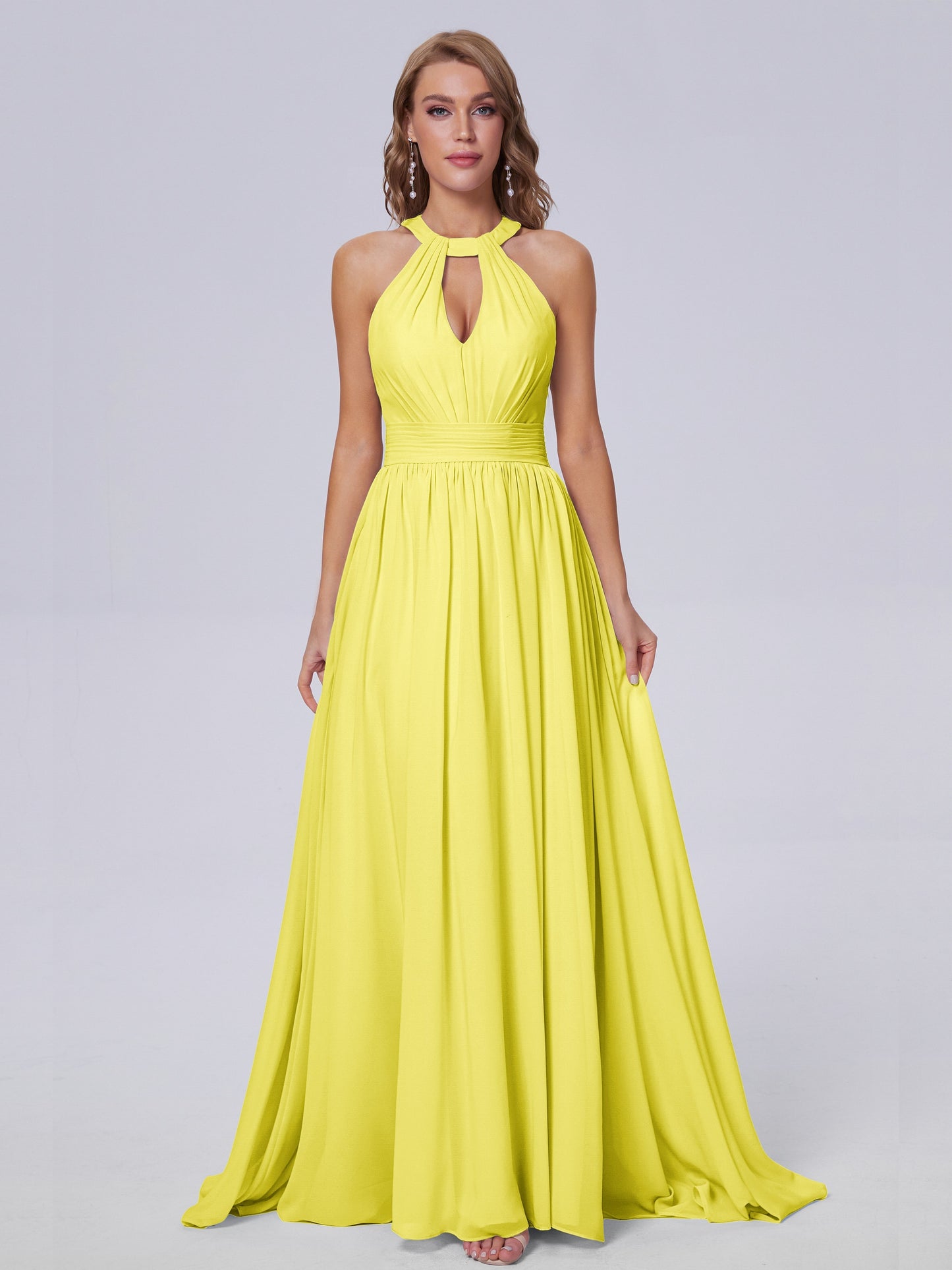 Nicole Vintage Halter Chiffon Long Bridesmaid Dresses