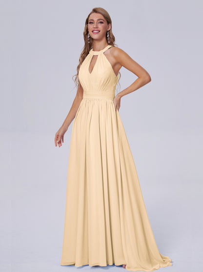 Nicole Vintage Halter Chiffon Long Bridesmaid Dresses