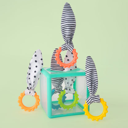 Motor Skills Development
