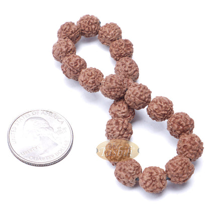 Rudraksha Beaded Bracelet - Jenitri Seed Healing Prayer Beads with 25 Beads On Elastic Cord