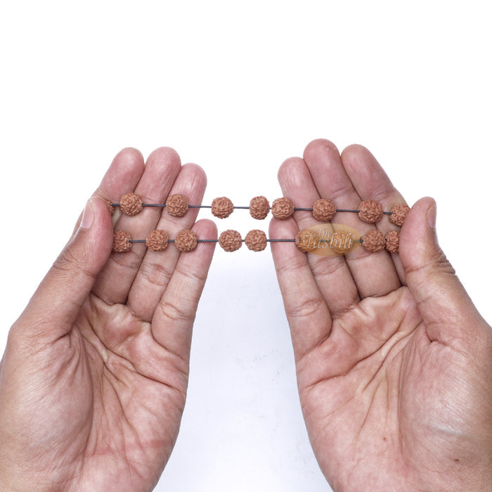 Rudraksha Beaded Bracelet - Jenitri Seed Healing Prayer Beads with 25 Beads On Elastic Cord