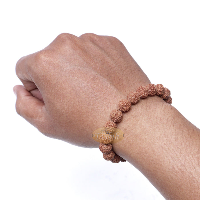 Rudraksha Beaded Bracelet - Jenitri Seed Healing Prayer Beads with 25 Beads On Elastic Cord